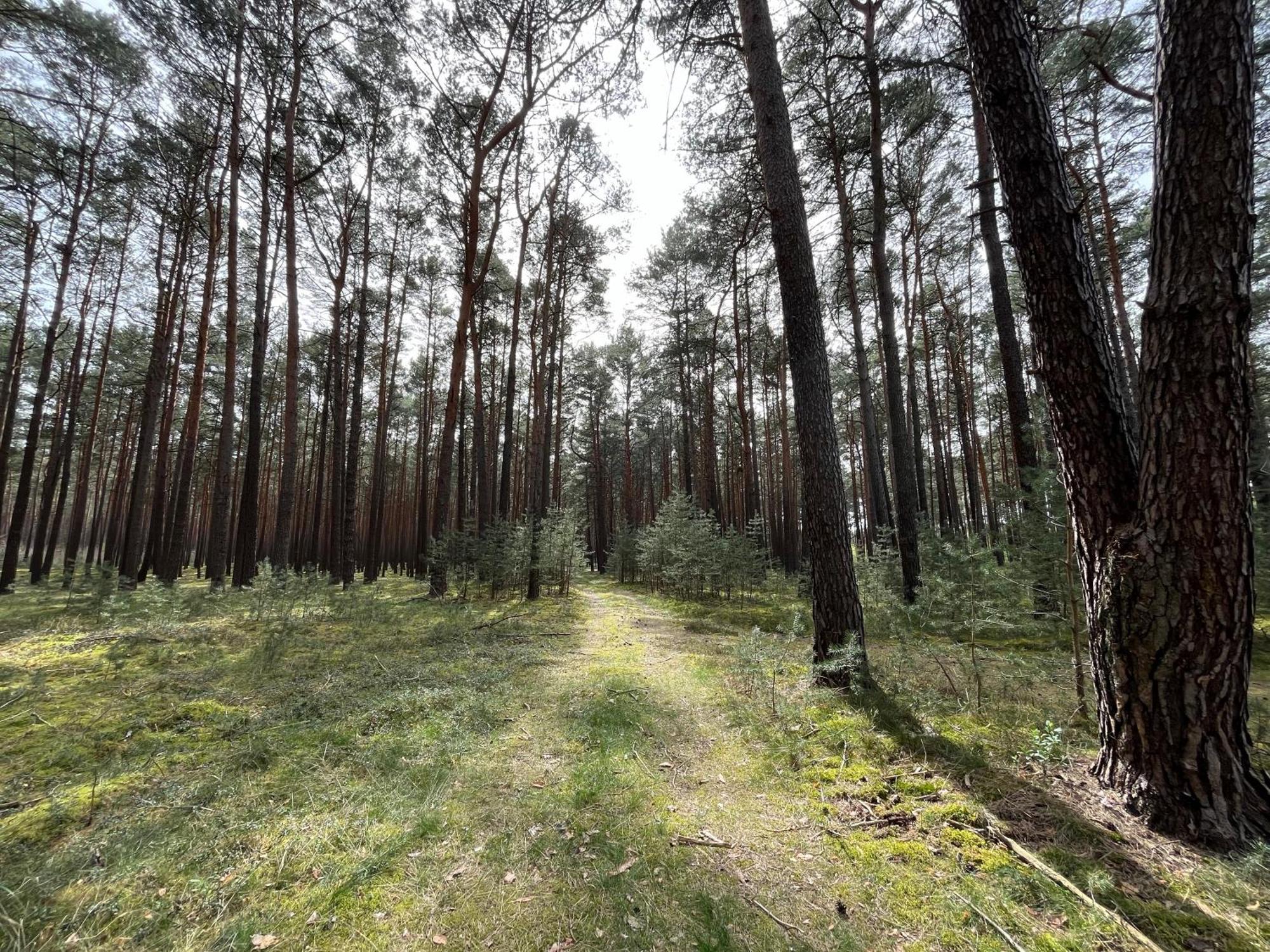 Ferienhaus Fjola Schenkendobern Exteriör bild